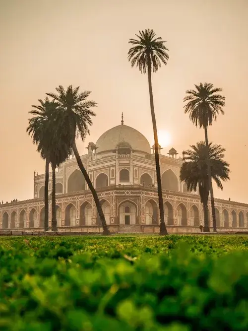 Le tombeau d'Humayun et ses palmiers dans la brume
